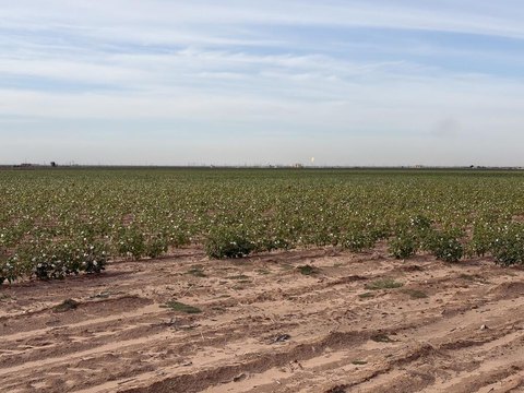 Land, Stanton, TX