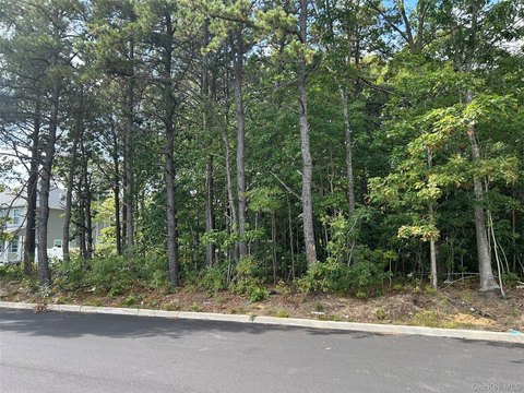 Centereach, NY Treed Lot