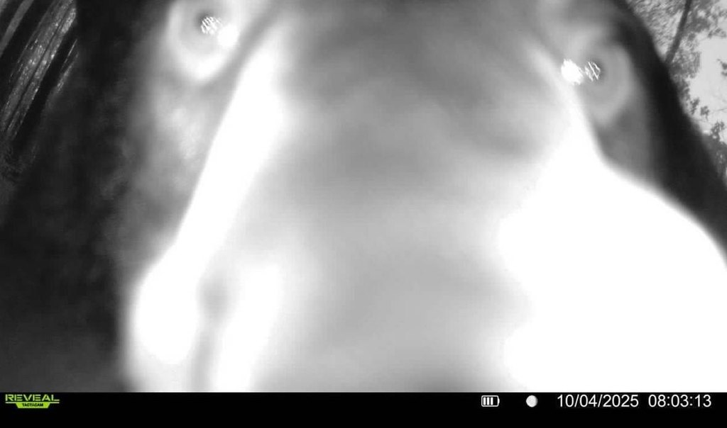 Picture 40