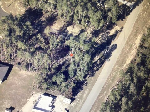 Land, OCALA, FL