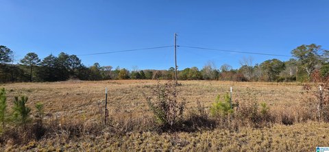 LAND - OHATCHEE, AL