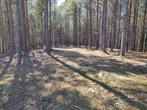 Wooded Cul-de-Sac Recreation Land