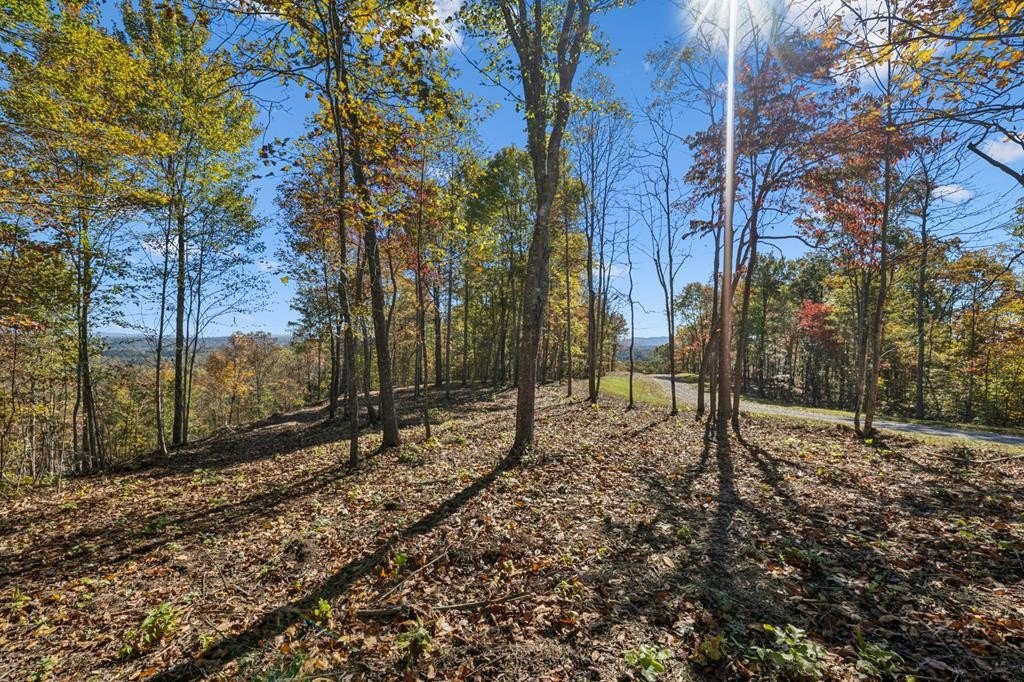 Land in Quiet Scott County