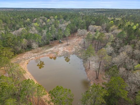 Poplarville, MS Land Parcel