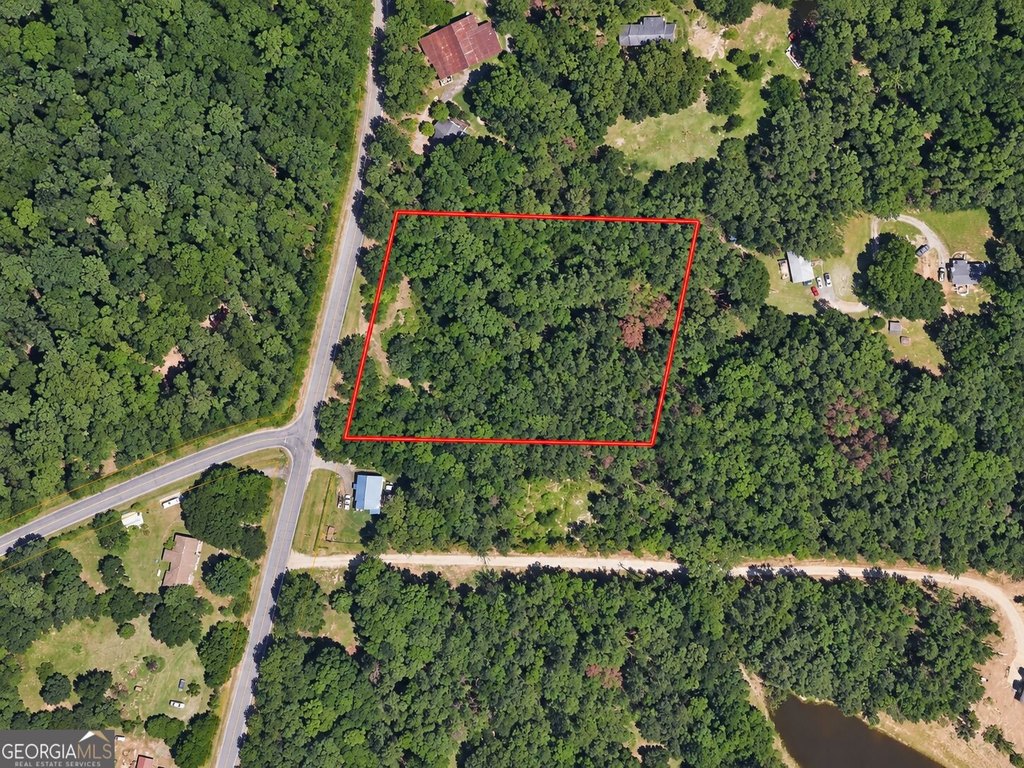 Picture 4