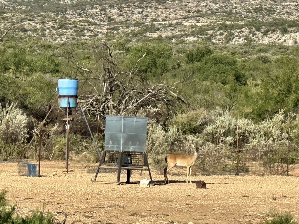 Picture 24