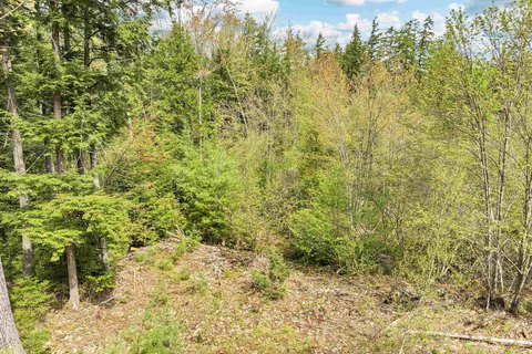 Waterfront-Access Residential Land Lots