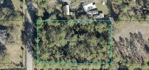 Land - HASTINGS, FL