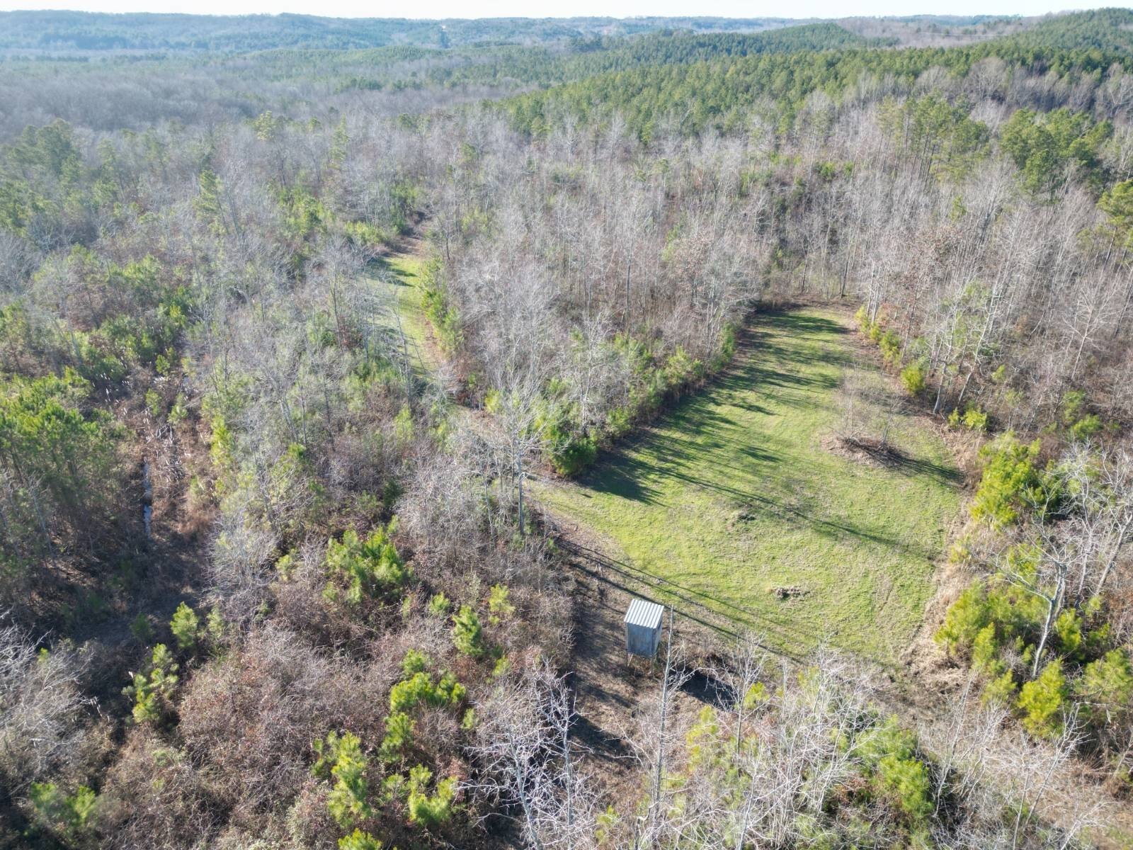 Hackleburg Vacant Land For Sale