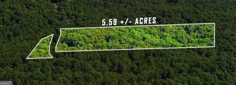 Wooded Mountain Homesite Land
