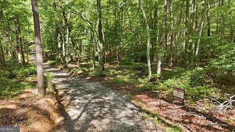 Wooded Mountain Homesite Land