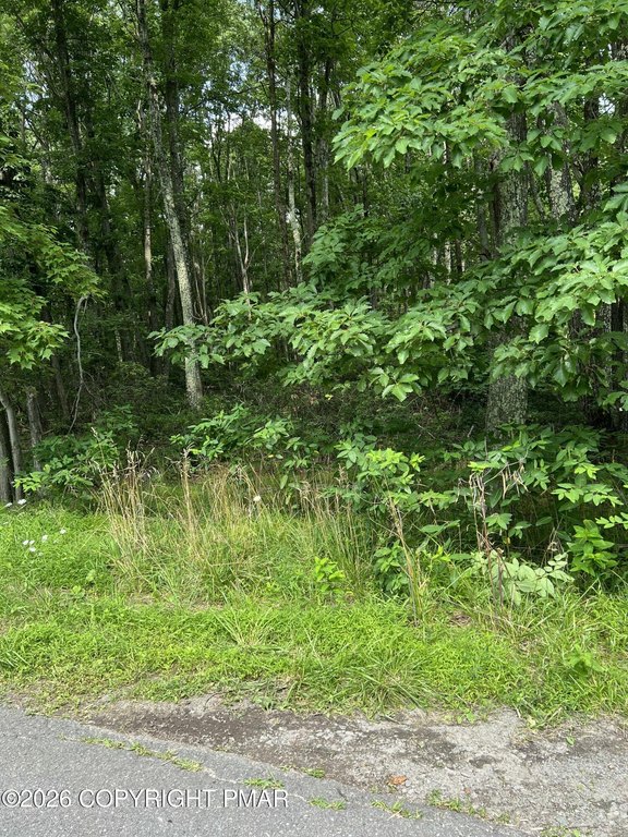 Picture 3