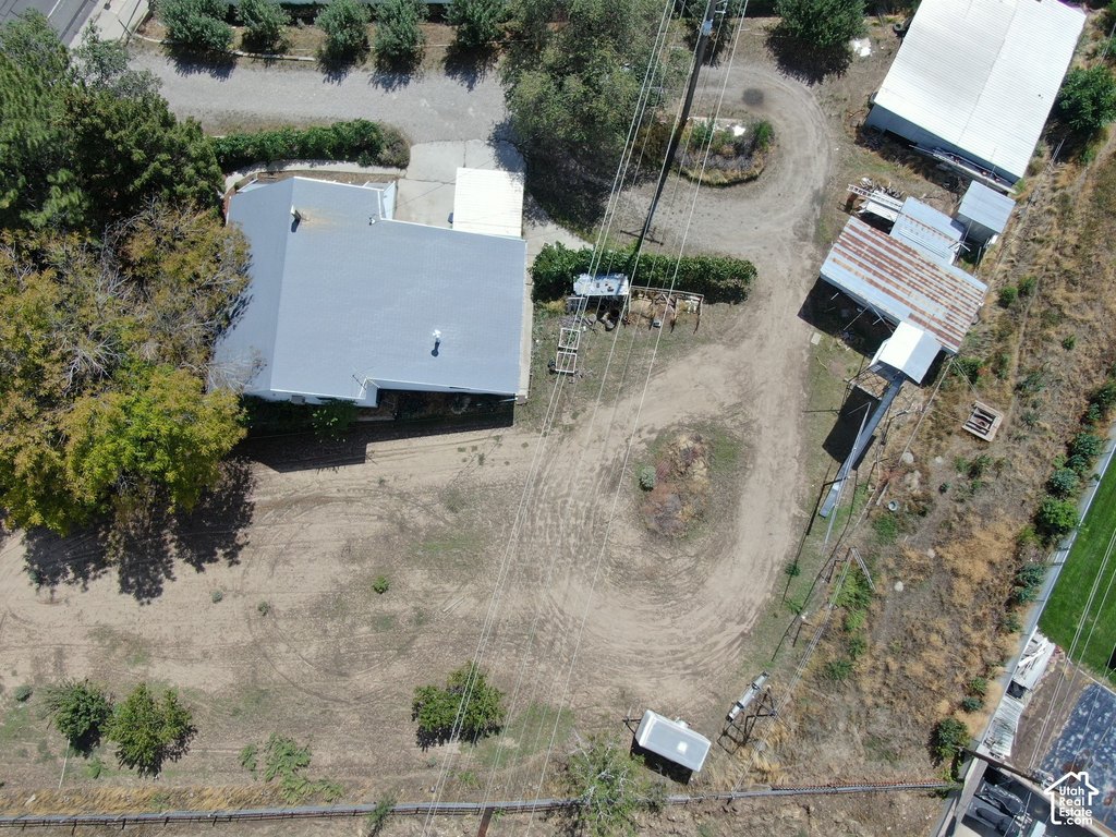 Picture 6