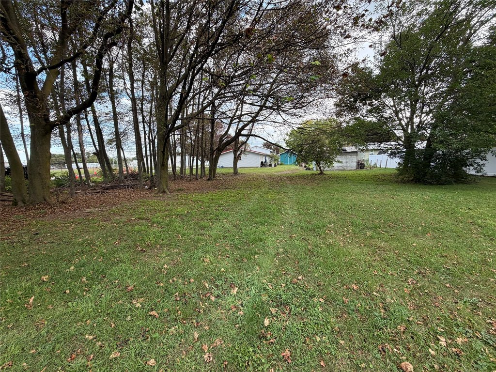 Picture 11
