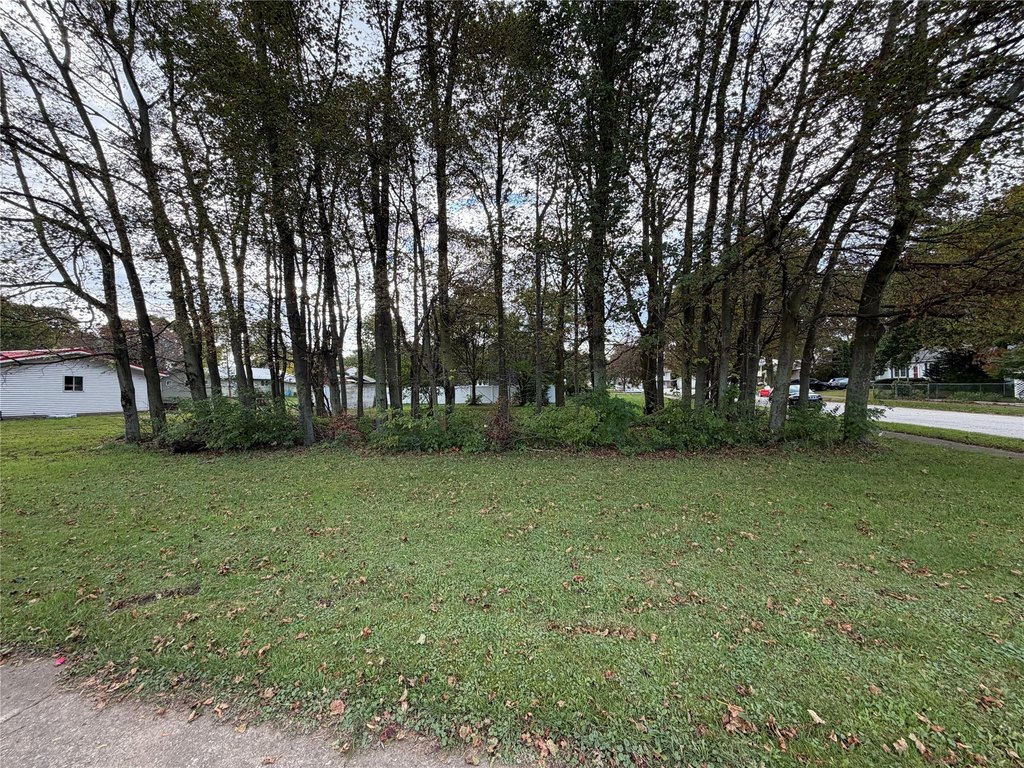 Picture 6
