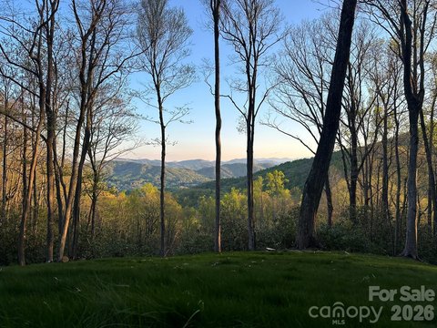 LAND - Fletcher, NC
