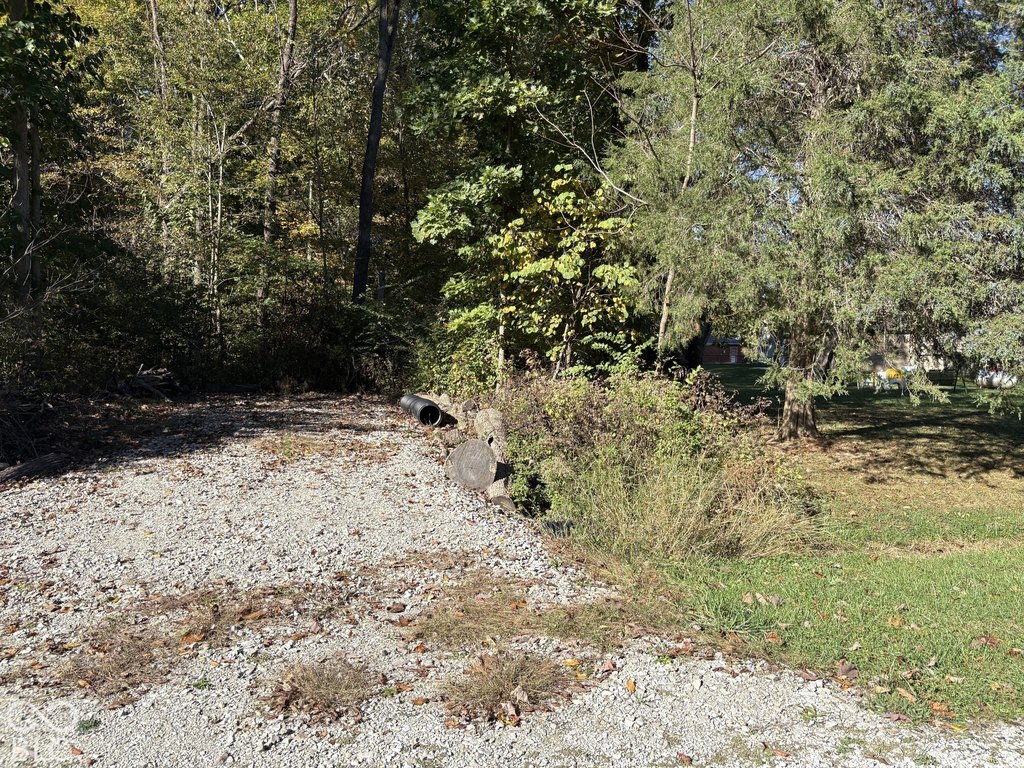 Picture 3
