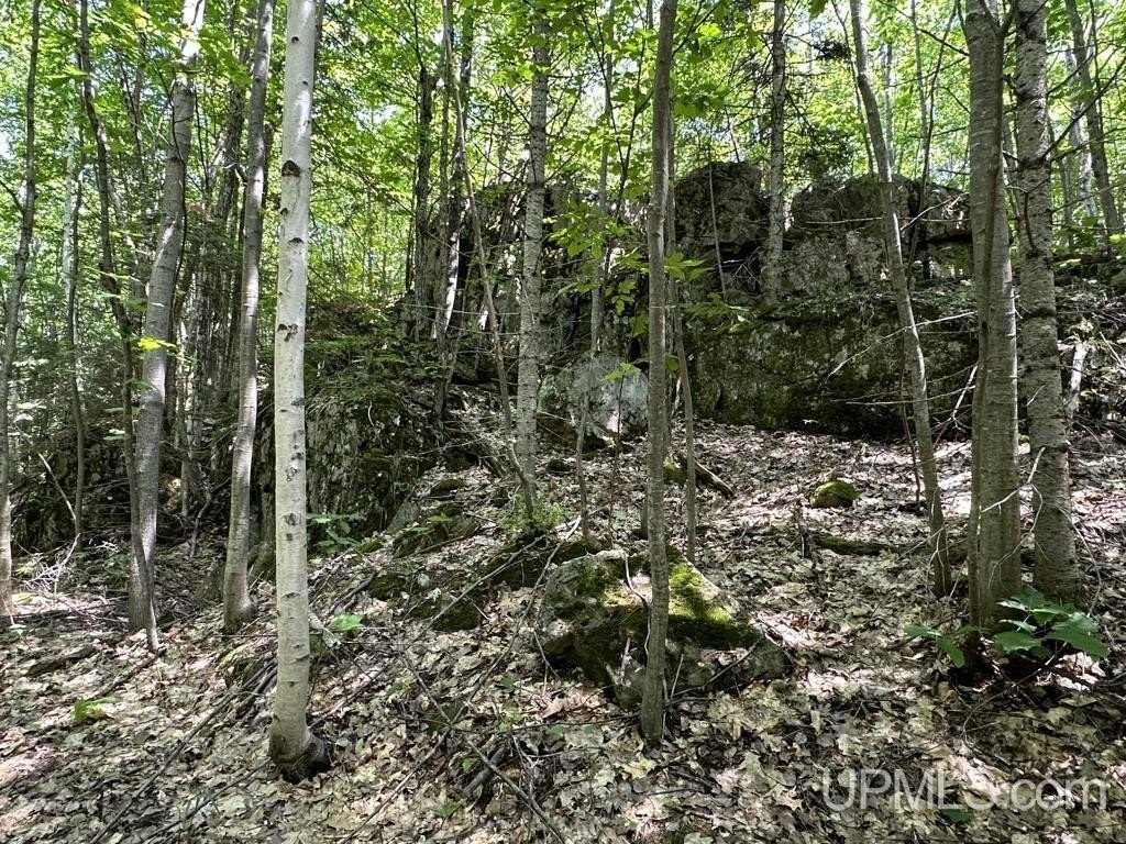 Picture 20