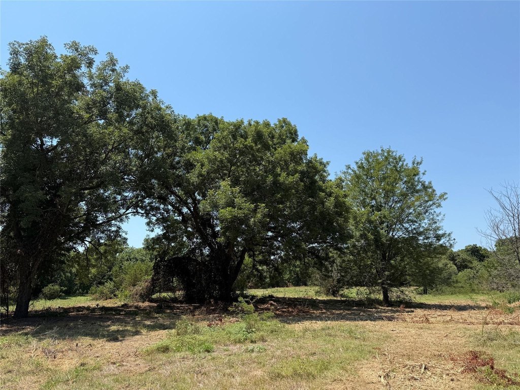 Picture 21