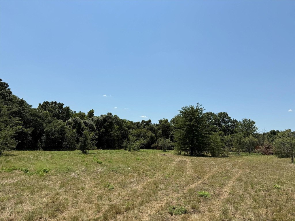 Picture 23