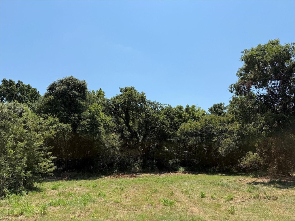 Picture 22