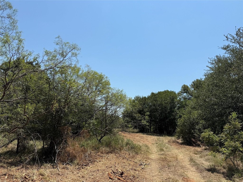 Picture 28