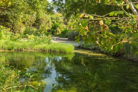 Waterfront Land with Creek Frontage