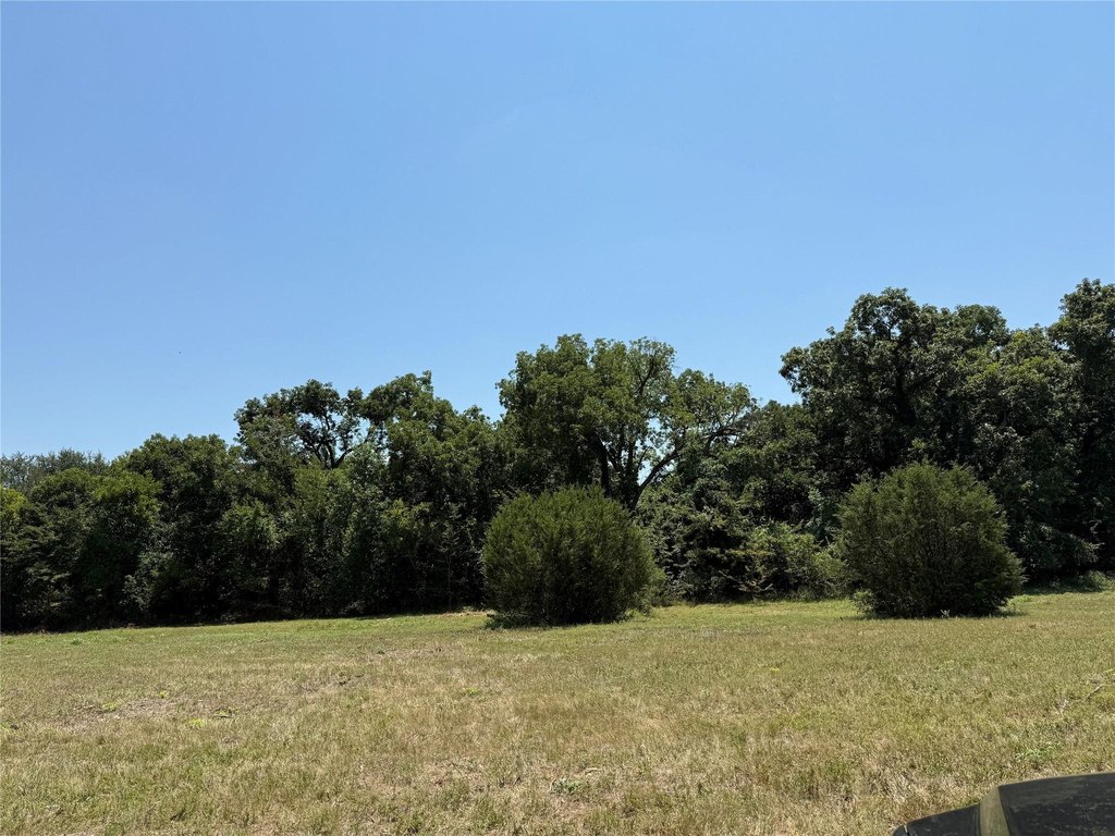 Picture 24