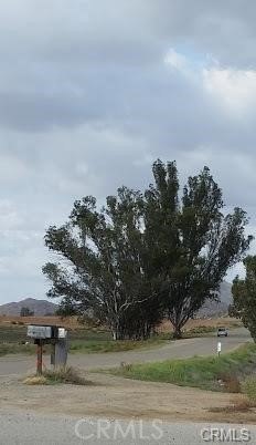 Picture 11