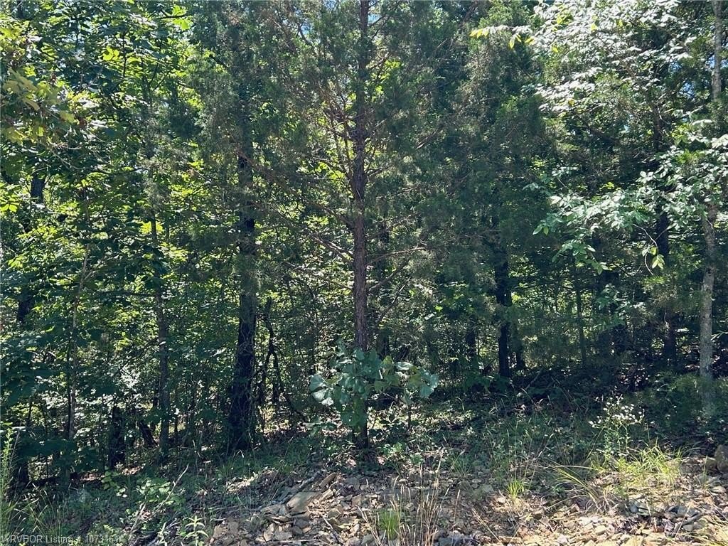 Picture 2