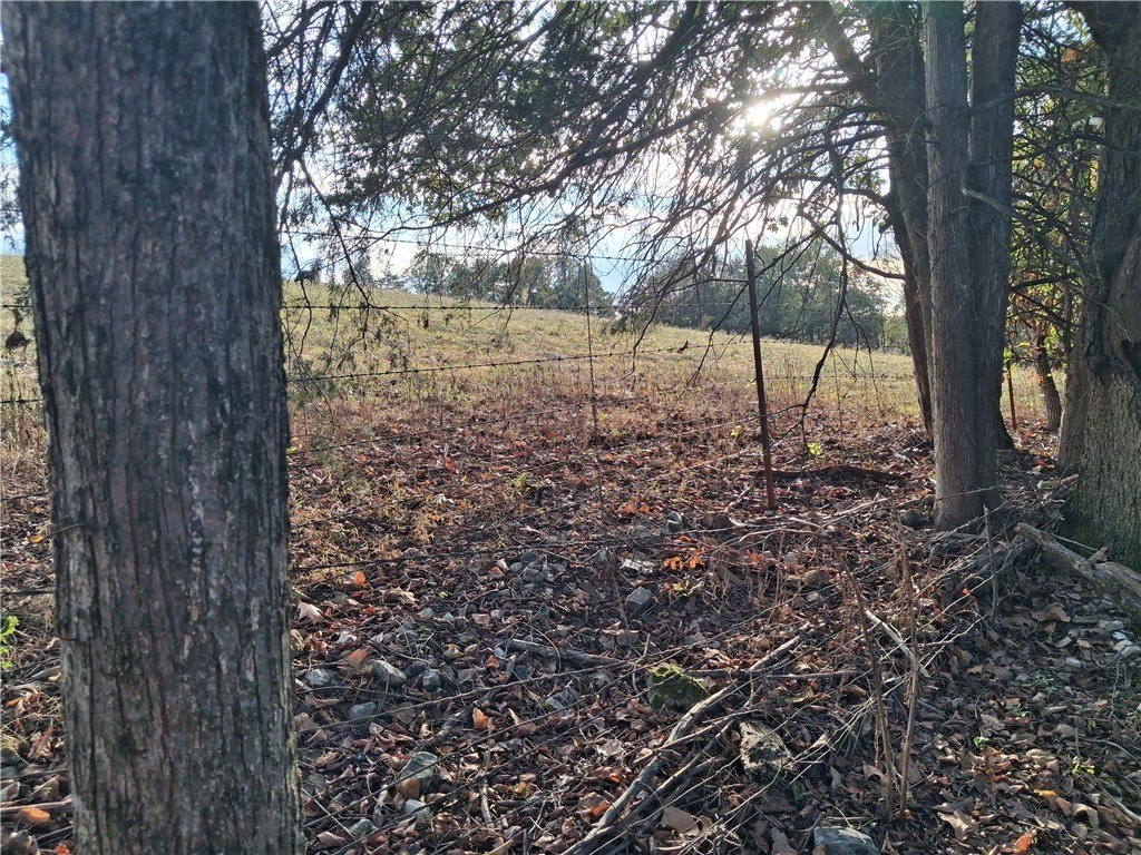 Picture 22