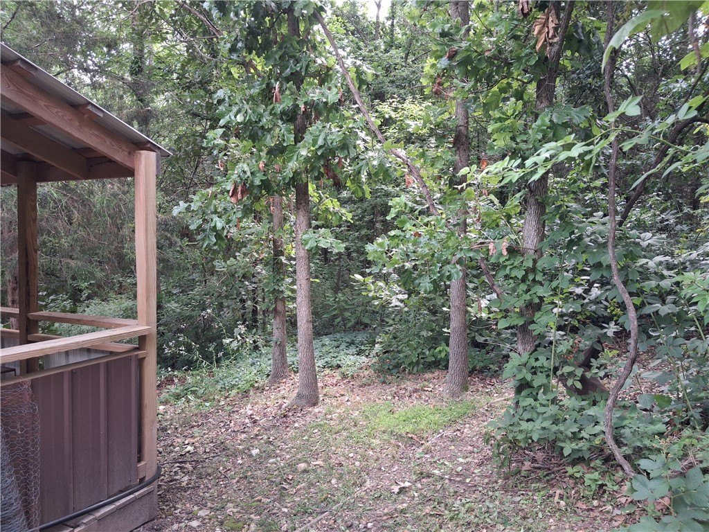 Picture 9