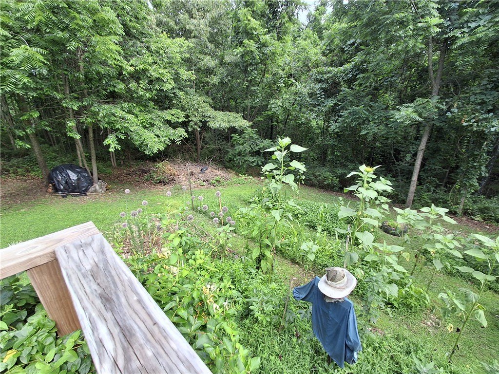 Picture 4