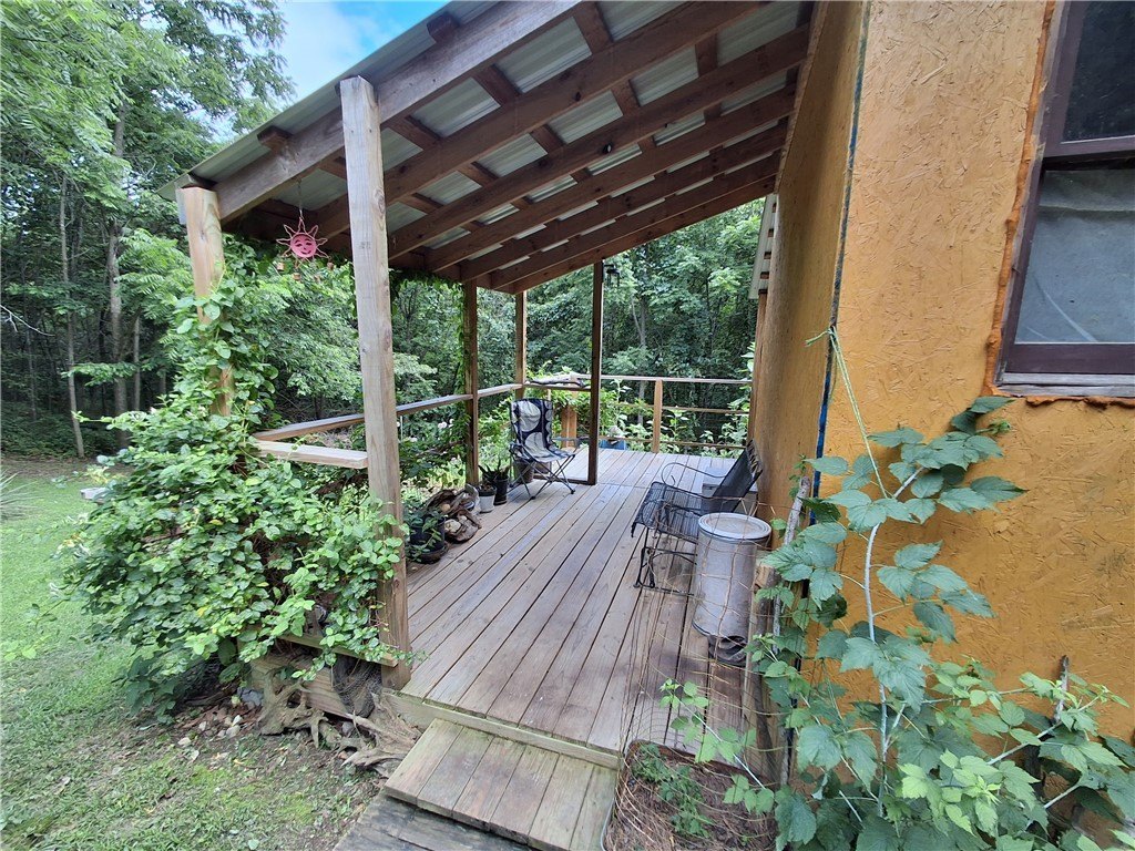 Picture 3