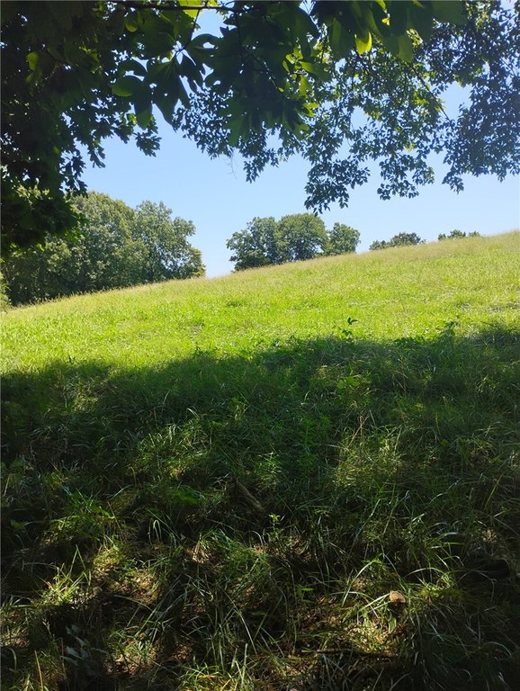 Picture 22