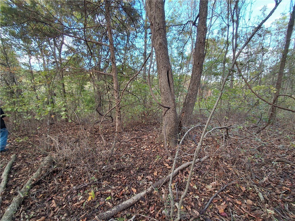 Picture 25