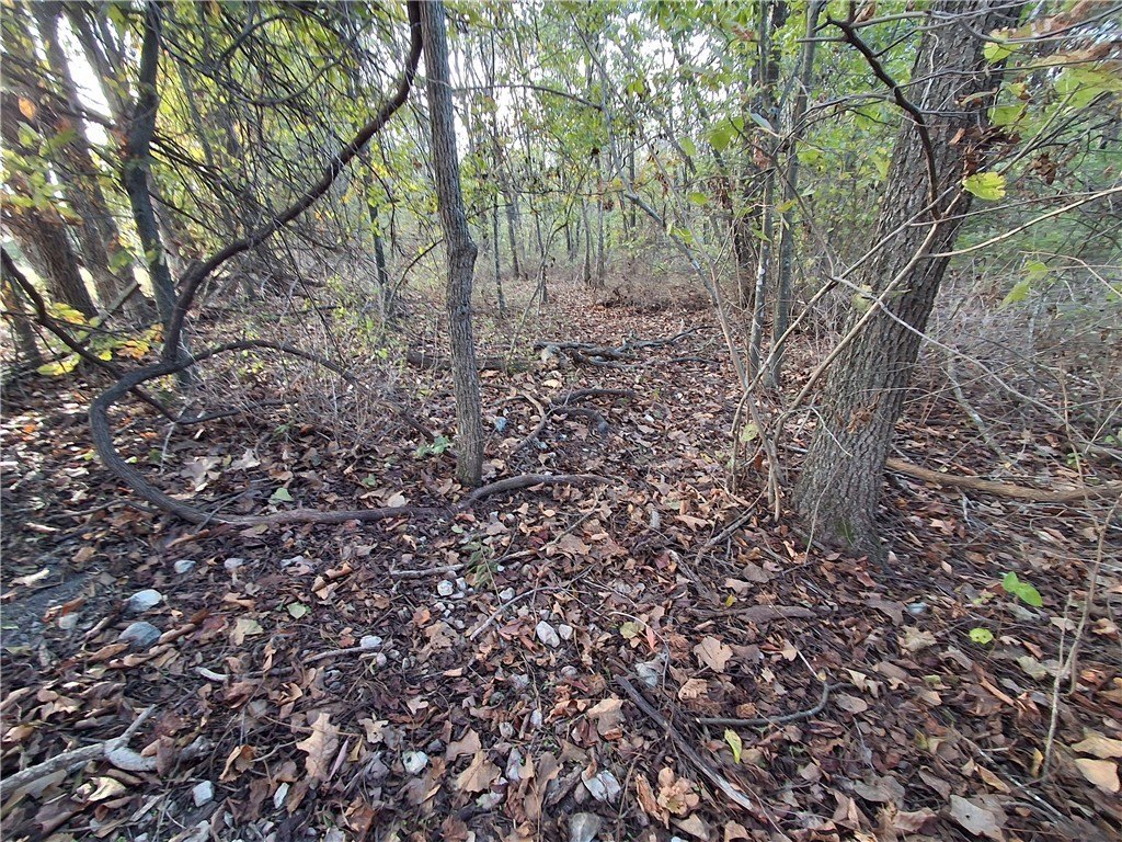 Picture 24