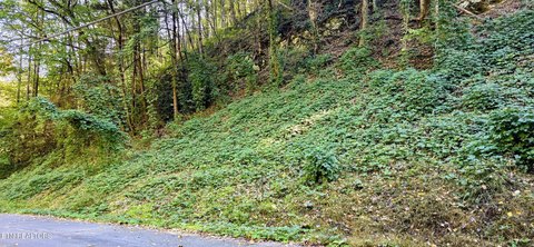 Lots & Acreage, Sevierville, TN