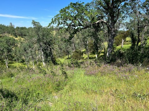 Rural Residential Land Lot