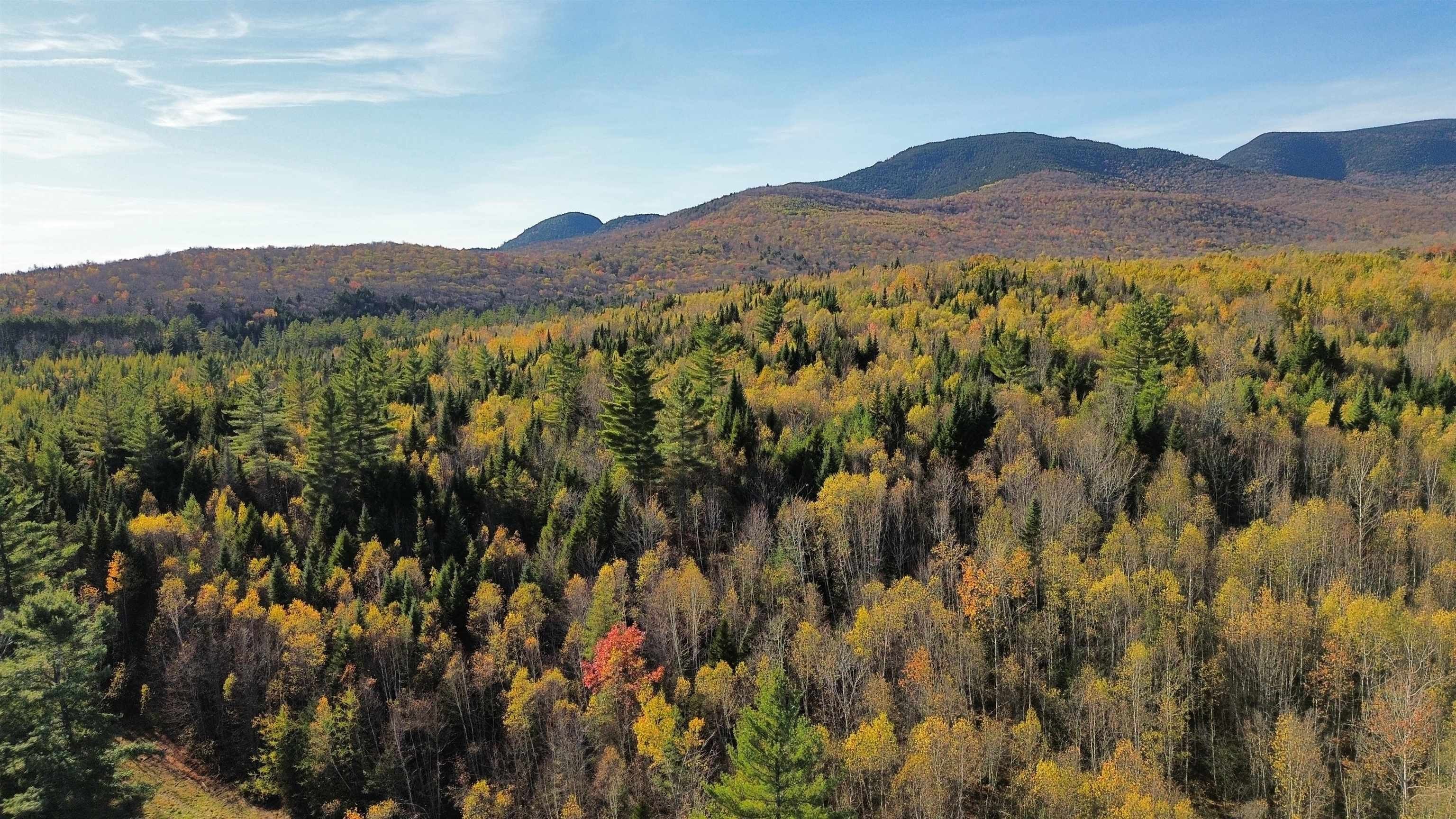 71+ Acre Wilderness Retreat
