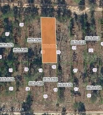 Six Lots in Hawthorne, FL
