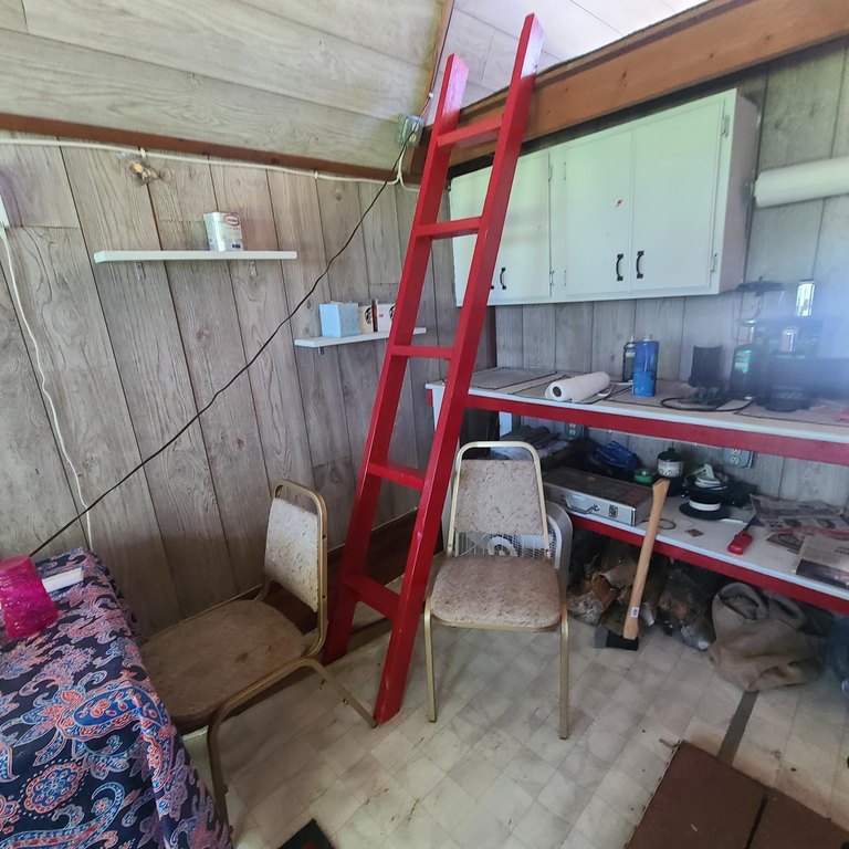 Picture 15