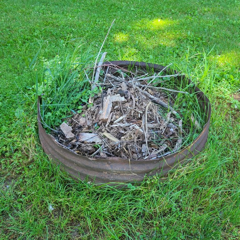 Picture 8