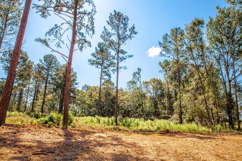 Appling, GA Acreage Lot
