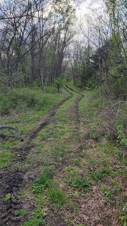Picture 2
