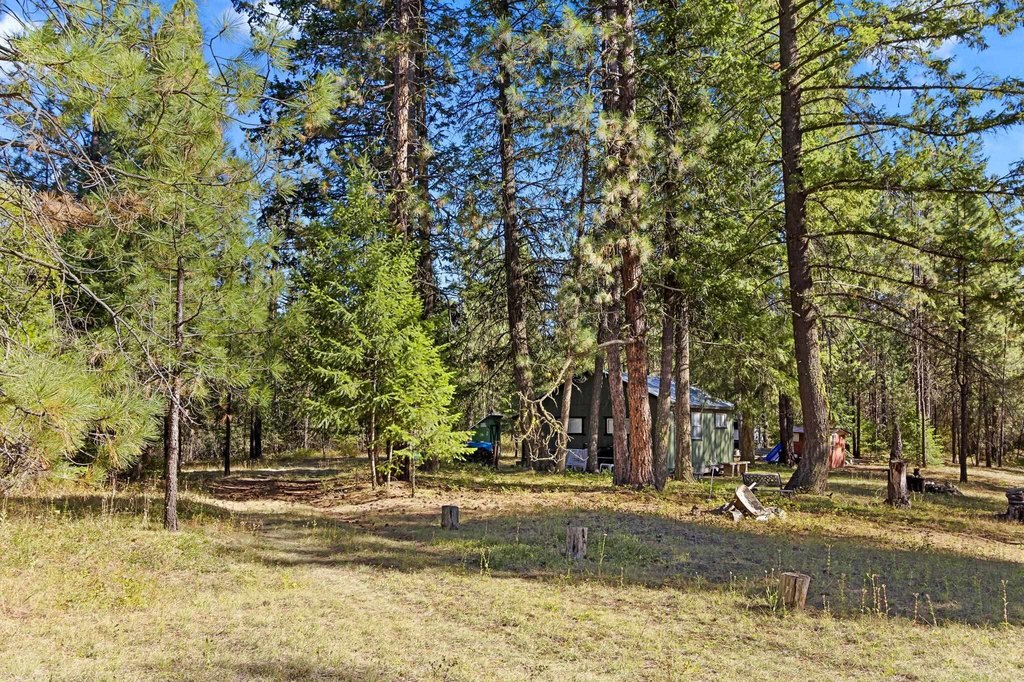 Picture 30