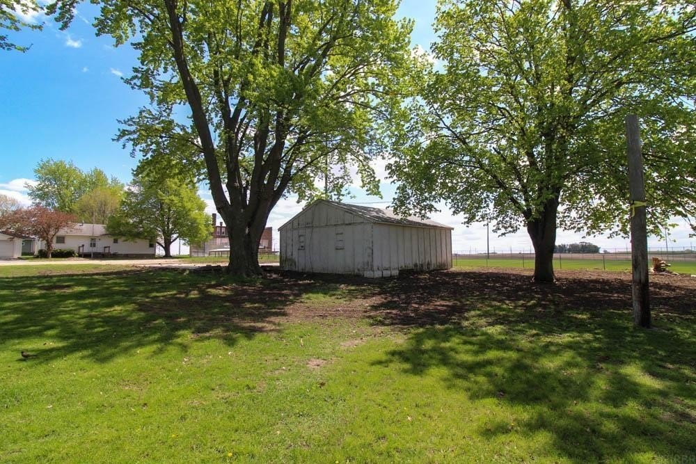 Picture 8