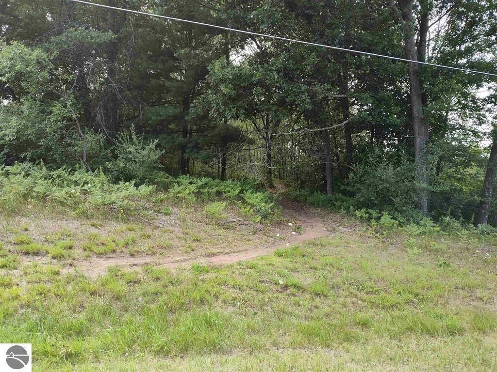 Picture 8