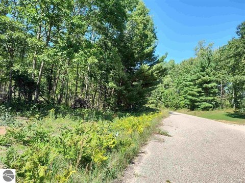 Wooded Lot in Farwell, MI