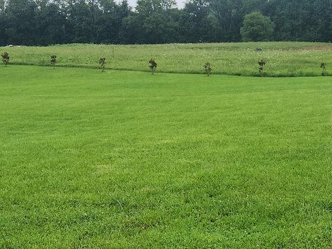 Residential Lot in Serene Setting